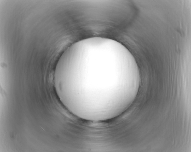 X0000091330336200708101006
