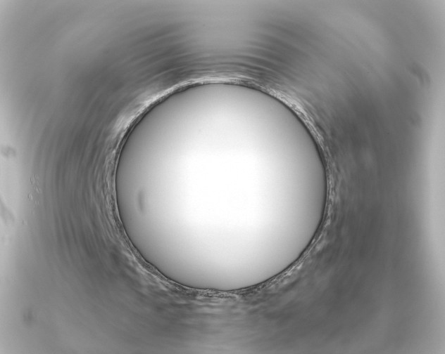 X0000091330337200708101005