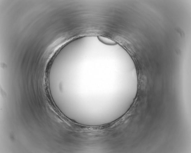 X0000091330338200708101005