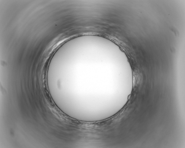 X0000091330339200708101005