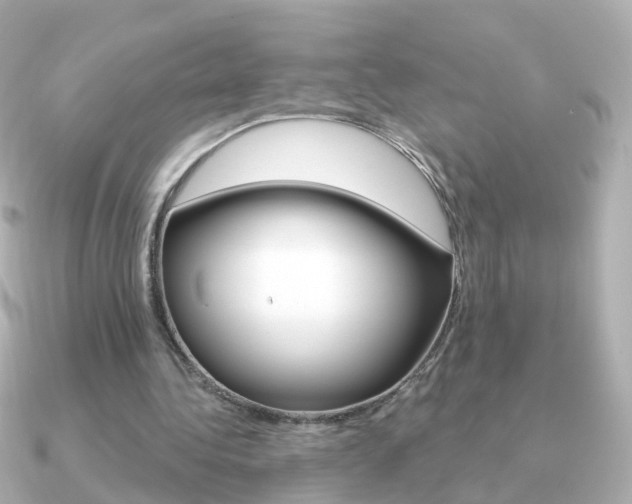 X0000091330340200708101005