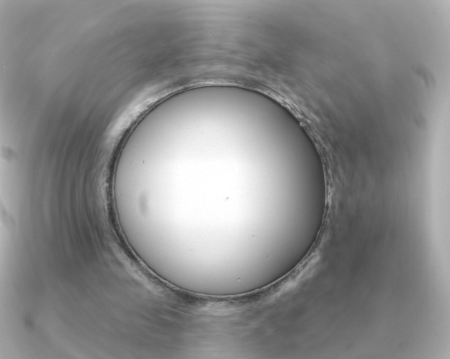 X0000091330341200708101005