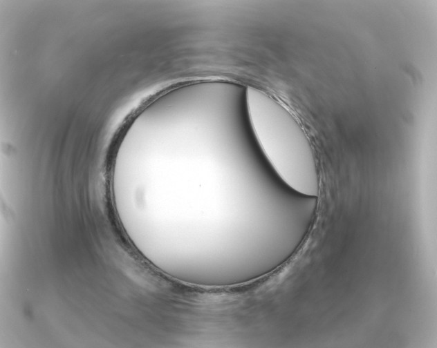 X0000091330342200708101005