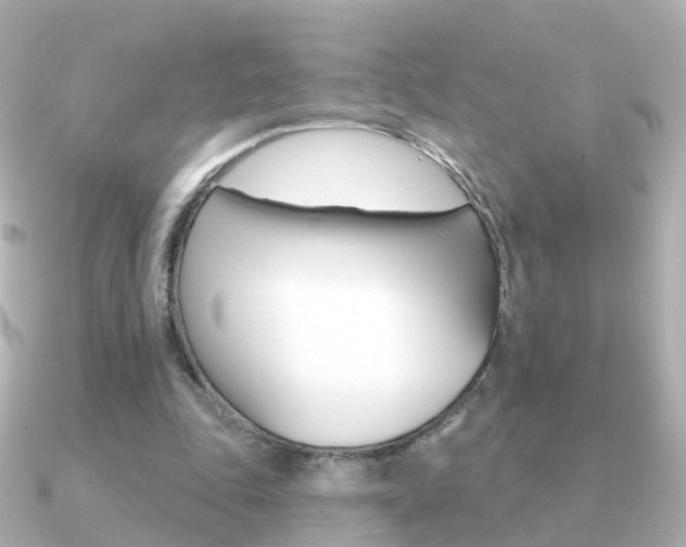X0000091330343200708101005