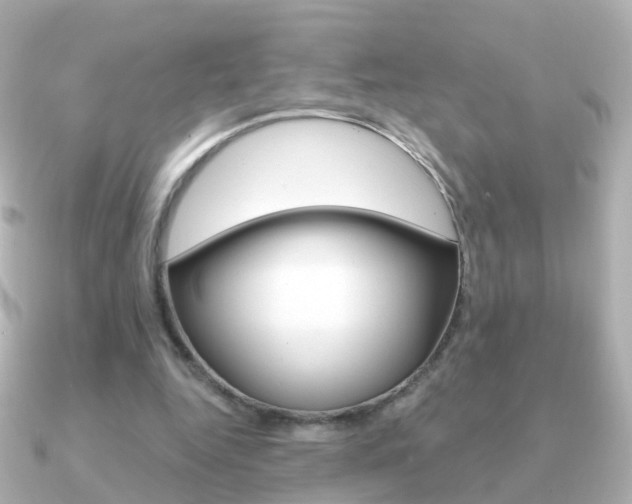 X0000091330344200708101005