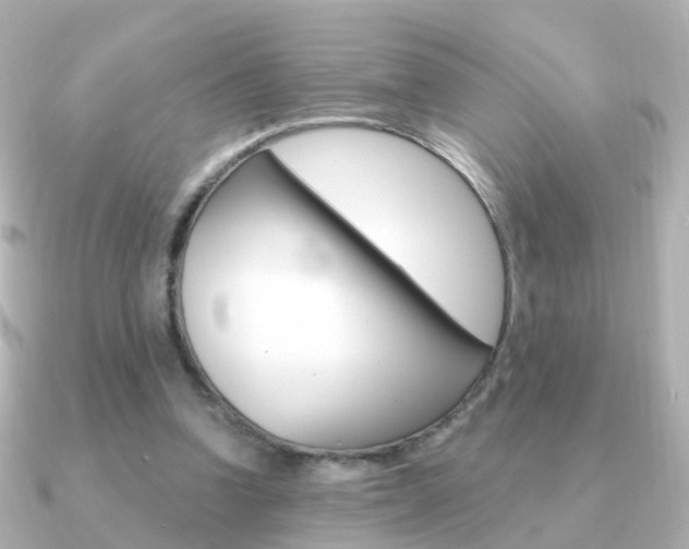 X0000091330346200708101005