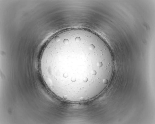 X0000091330347200708101005