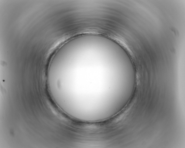 X0000091330349200708101005