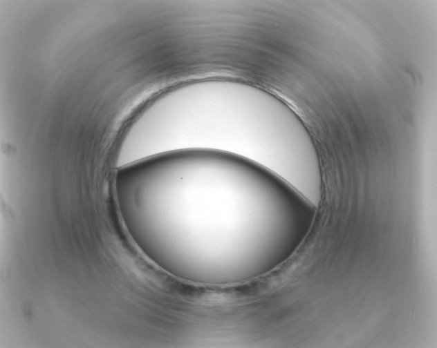 X0000091330350200708101005