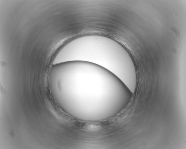X0000091330352200708101005