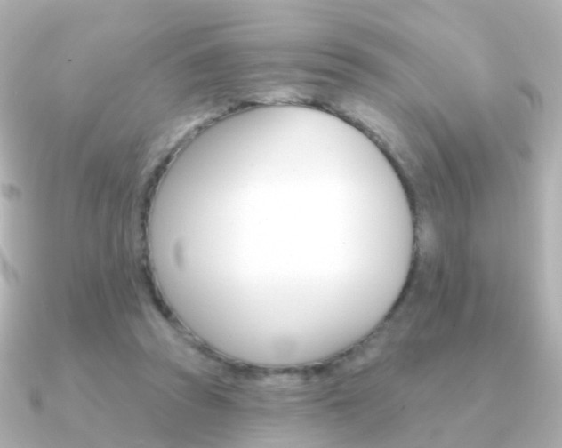 X0000091330353200708101005