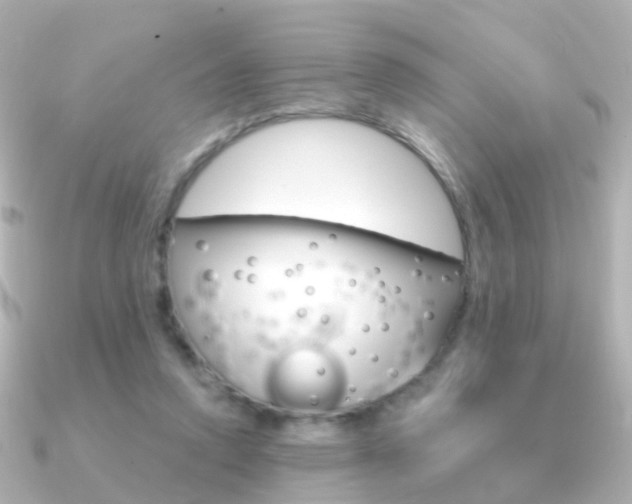 X0000091330354200708101005