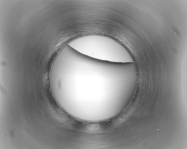 X0000091330355200708101005
