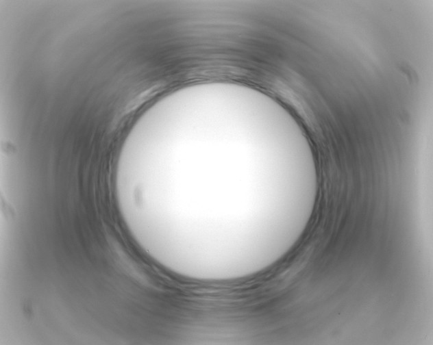 X0000091330356200708101006