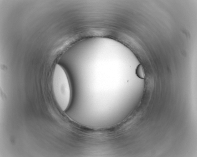 X0000091330358200708101006