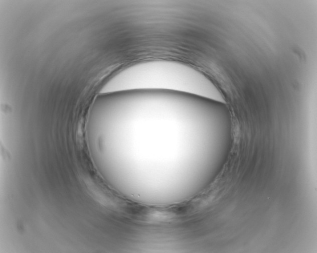 X0000091330360200708101006