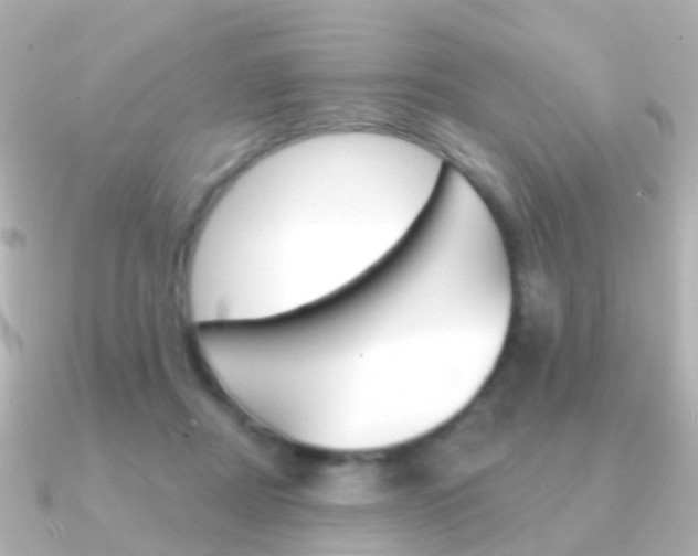 X0000091330362200708101006