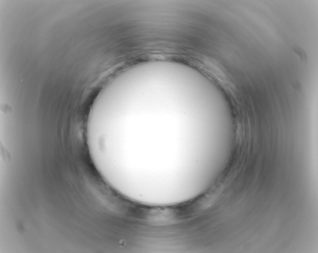 X0000091330363200708101006