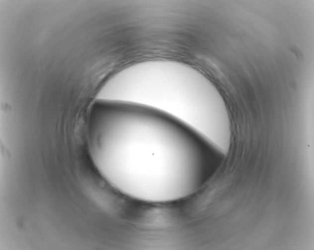 X0000091330364200708101006