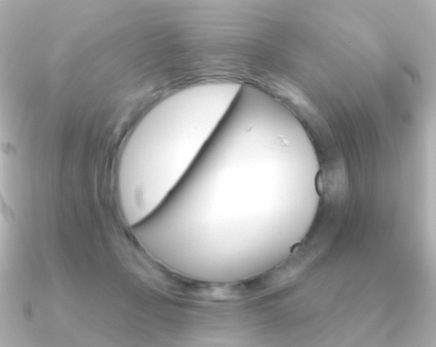 X0000091330365200708101006