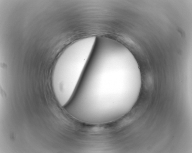 X0000091330366200708101006