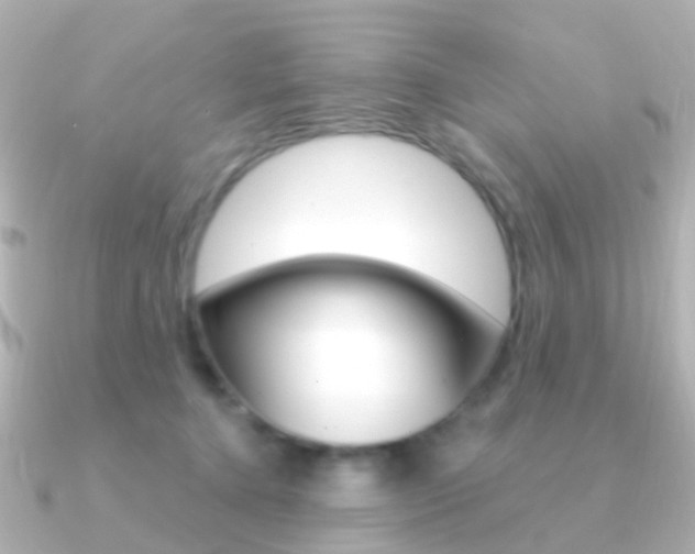 X0000091330368200708101006