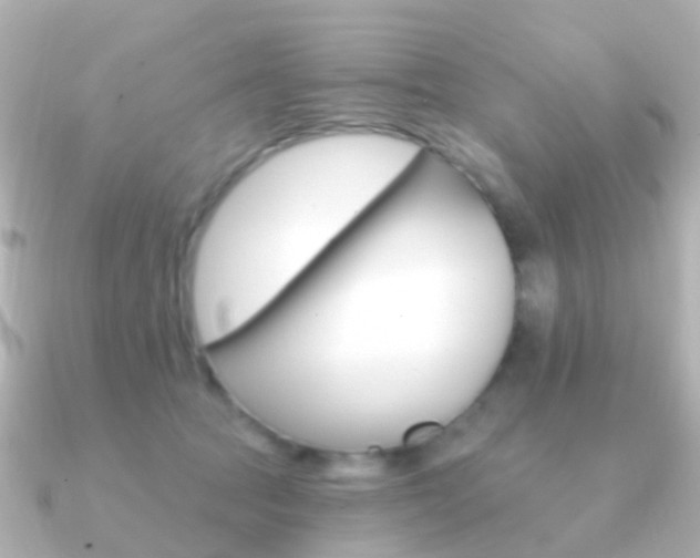 X0000091330369200708101006