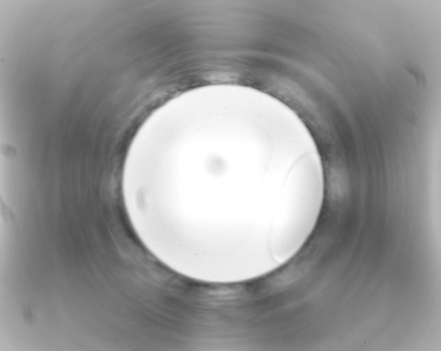 X0000091330370200708101006