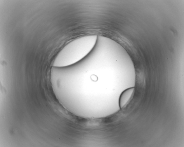 X0000091330373200708101006