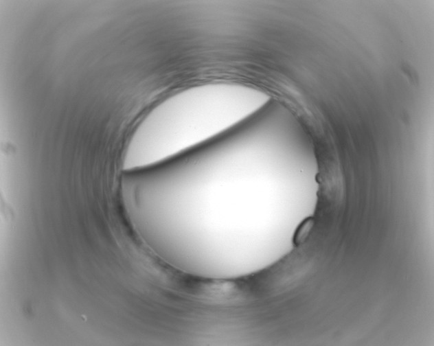 X0000091330374200708101006