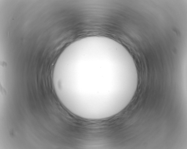 X0000091330376200708101006
