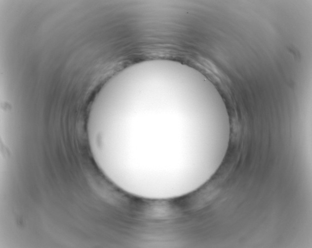 X0000091330377200708101006