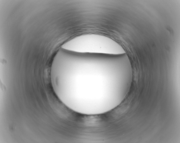 X0000091330378200708101006