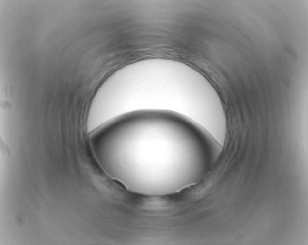 X0000091330380200708101006