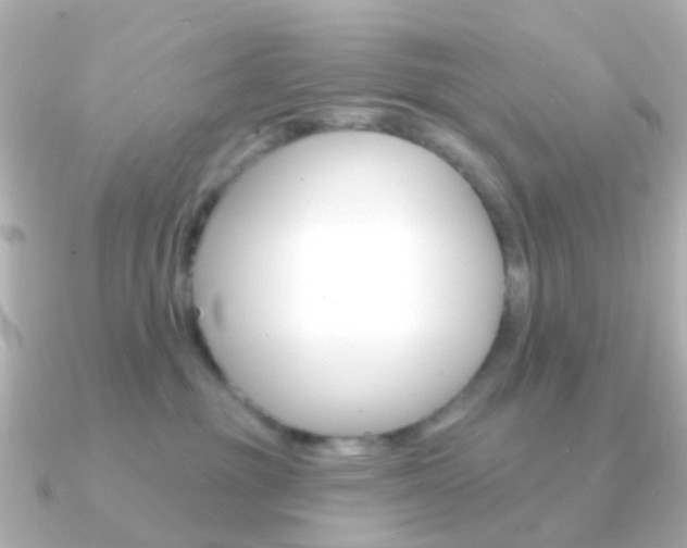 X0000091330381200708101006