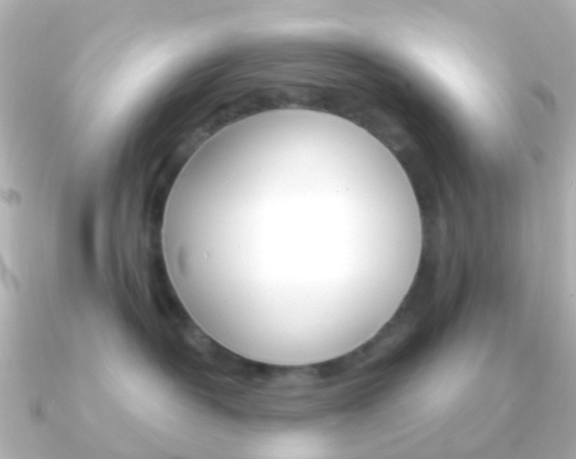 X0000091330382200708101006