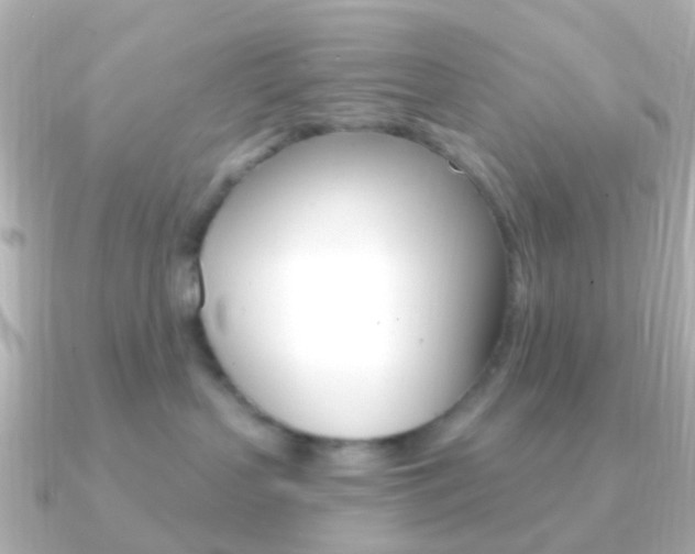 X0000091330383200708101006