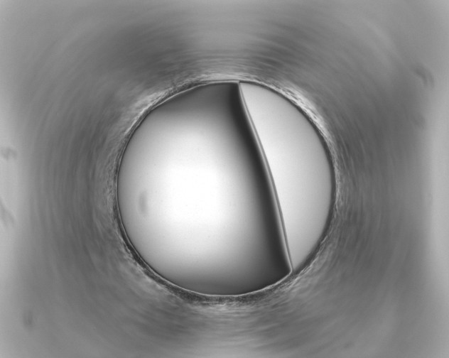 X0000091330385200708101005