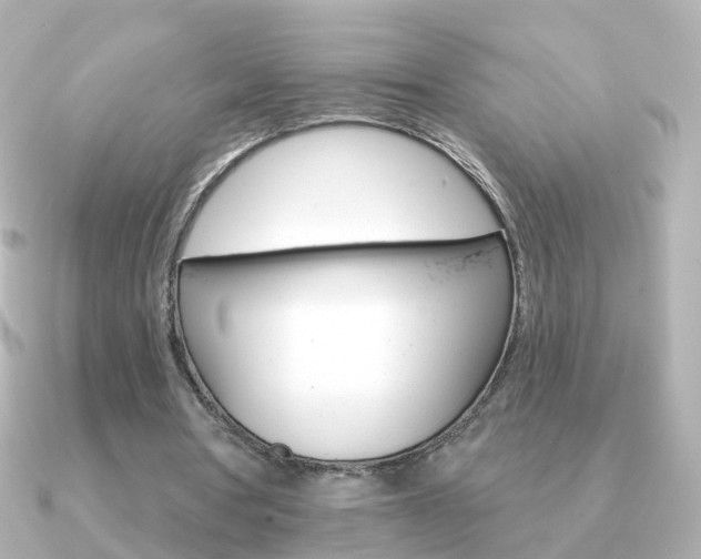 X0000091330386200708101005