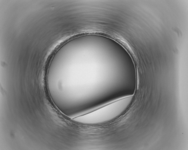 X0000091330387200708101005