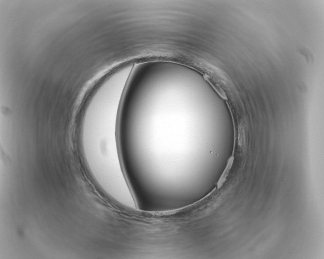 X0000091330388200708101005