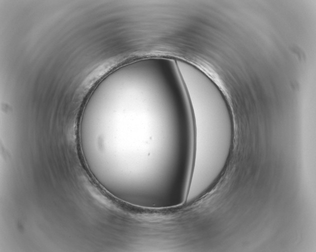 X0000091330389200708101005
