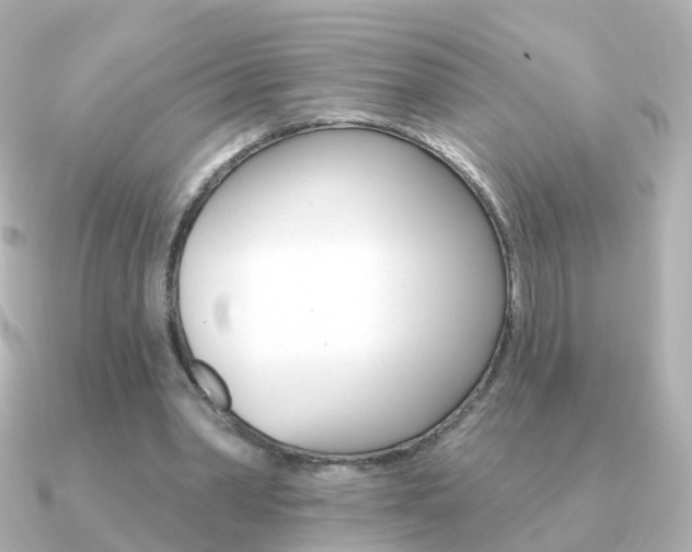 X0000091330390200708101005