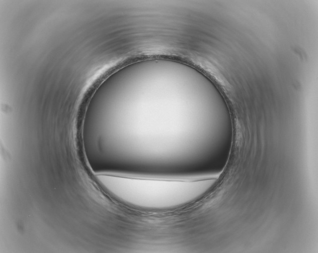 X0000091330391200708101005