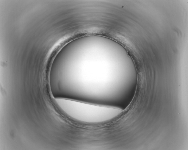X0000091330392200708101005