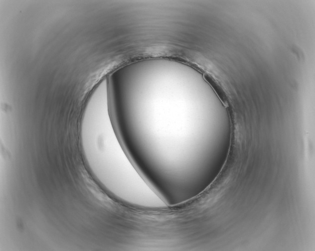 X0000091330393200708101005