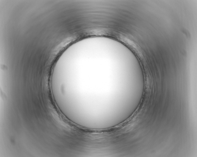 X0000091330394200708101005