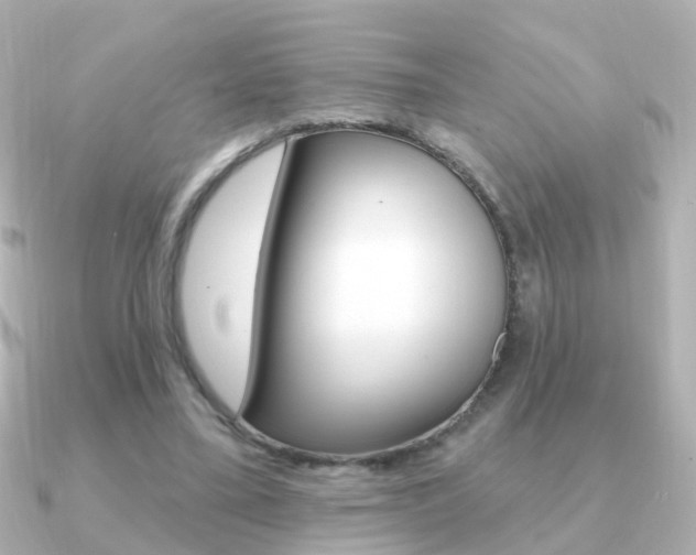 X0000091330395200708101005