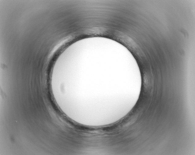 X0000091330396200708101005