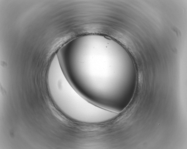 X0000091330397200708101005